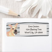 Pit Bull Tan Dog Etiket (Insitu)