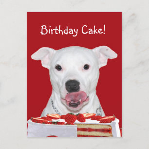 Pit Bull Terrier Birthday Briefkaart