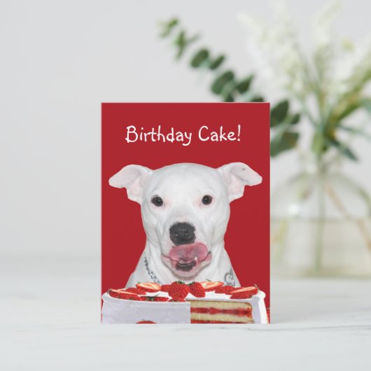 Pit Bull Terrier Birthday Briefkaart (Staand voorkant)