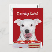 Pit Bull Terrier Birthday Briefkaart (Voorkant / Achterkant)