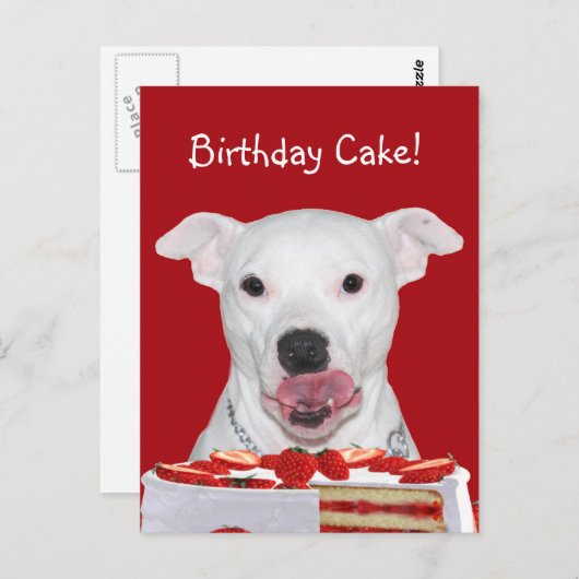 Pit Bull Terrier Birthday Briefkaart (Voorkant / Achterkant)