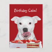 Pit Bull Terrier Birthday Briefkaart (Voorkant)