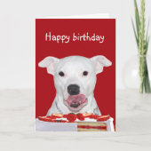 Pit Bull Terrier Birthday Kaart (Voorkant)