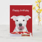 Pit Bull Terrier Birthday Kaart (Gele Bloem)