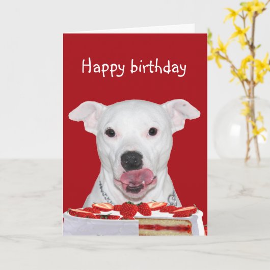 Pit Bull Terrier Birthday Kaart (Gele Bloem)