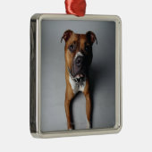 Pit Bull Terrier die neer Metalen Ornament (Rechts)