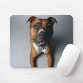 Pit Bull Terrier die neer Muismat (Met muis)
