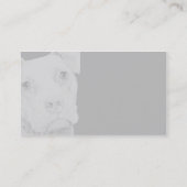 Pit Bull Terrier (grijs) - Visitekaartje (Achterkant)