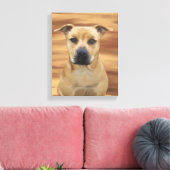 Pit Bull Terrier Oil Paint Simulation Canvas Afdruk (Insitu (Woonkamer))