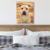 Pit Bull Terrier Oil Paint Simulation Canvas Afdruk (Insitu (Slaapkamer))