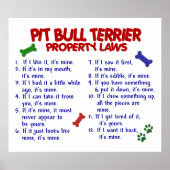 PIT BULL TERRIER PL2 POSTER (Voorkant)