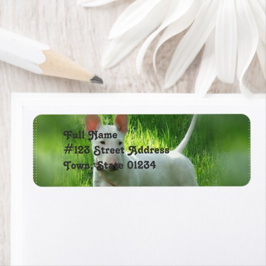 Pit Bull Terrier Return-adreslabel Etiket (Insitu)