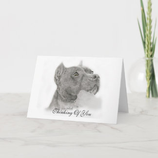 Pit Bull Thinking of You Card Kaart