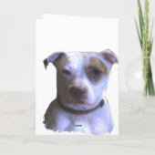 Pit Bull Valentijn Voeg je persoonlijke bericht to Feestdagen Kaart (Achterkant)