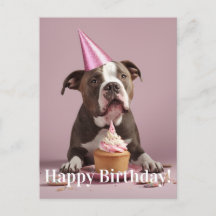 Pit Bull Verjaardagsviering