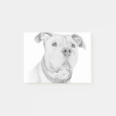 Pit Bull, verkeerd begrepen Post-it® Notes (Voorkant)