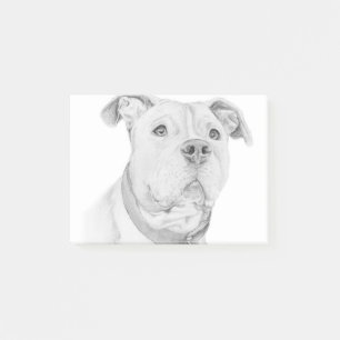 Pit Bull, verkeerd begrepen Post-it® Notes