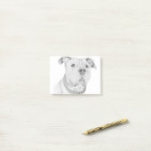 Pit Bull, verkeerd begrepen Post-it® Notes (Op bureau)