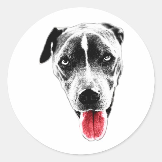 Pit Mix Rode Tong Portret Sticker (Voorkant)