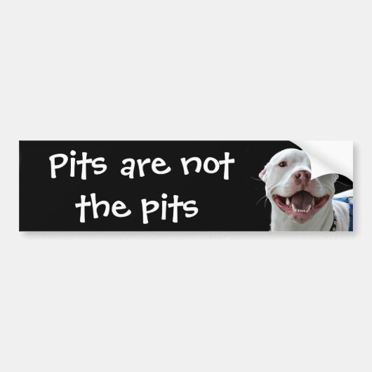 Pit-stier Bumpersticker (Voorkant)