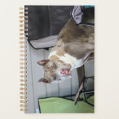 Pit-stier Planner (Voorkant)