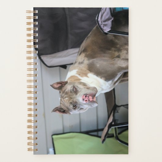 Pit-stier Planner (Voorkant)