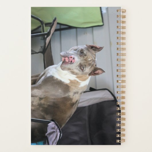 Pit-stier Planner (Achterkant)
