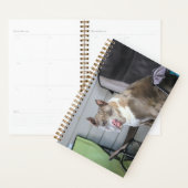 Pit-stier Planner (Display)