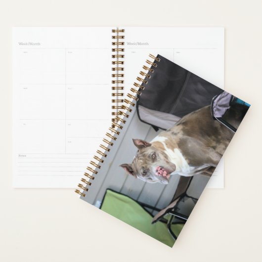 Pit-stier Planner (Display)