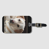 Pit van mijn Bagagelabel voor gele lab-terugwinnin (Voorkant (horizontaal))