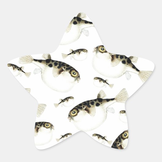 Pit-witpatroon voor Puffer Fish Ster Sticker (Voorkant)