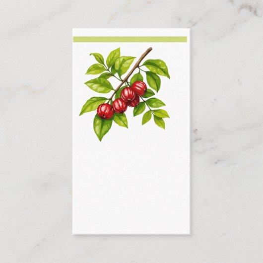 Pitangueira e Saí-andorinha (Tersina viridis) Visitekaartje (Voorkant)