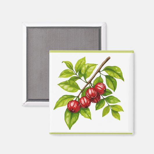 Pitangueira Magneet (Voorkant / Achterkant)