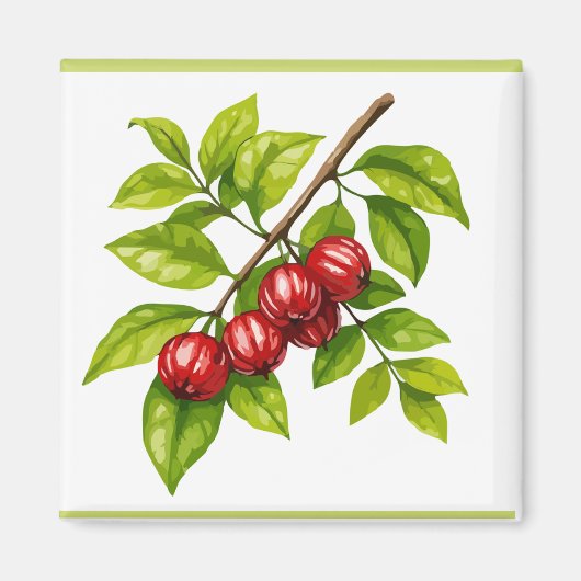 Pitangueira Magneet (Voorkant)