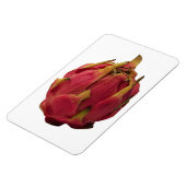 Pitaya fotomagneet magneet (Linkerzijde)