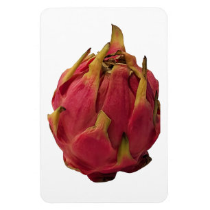 Pitaya fotomagneet magneet