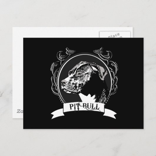 PITBULL (2) BRIEFKAART (Voorkant / Achterkant)