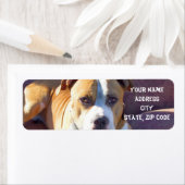 Pitbull adresetiketten etiket (Insitu)