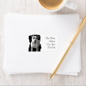 Pitbull Adresetiketten Etiket (Insitu)