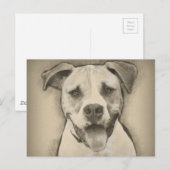 Pitbull - Amerikaans Bulldog Pencil Schetch portre Briefkaart (Voorkant / Achterkant)