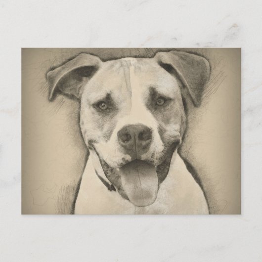 Pitbull - Amerikaans Bulldog Pencil Schetch portre Briefkaart (Voorkant)