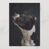 Pitbull Bar Menu (Achterkant)