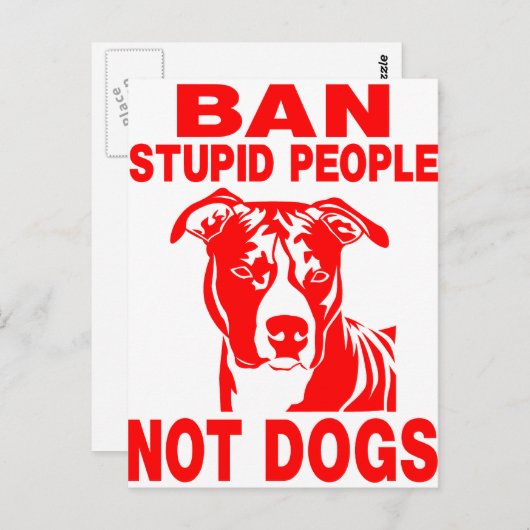 PITBULL BRIEFKAART (Voorkant / Achterkant)