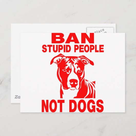 PITBULL BRIEFKAART (Voorkant / Achterkant)