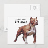 Pitbull Briefkaart (Voorkant / Achterkant)