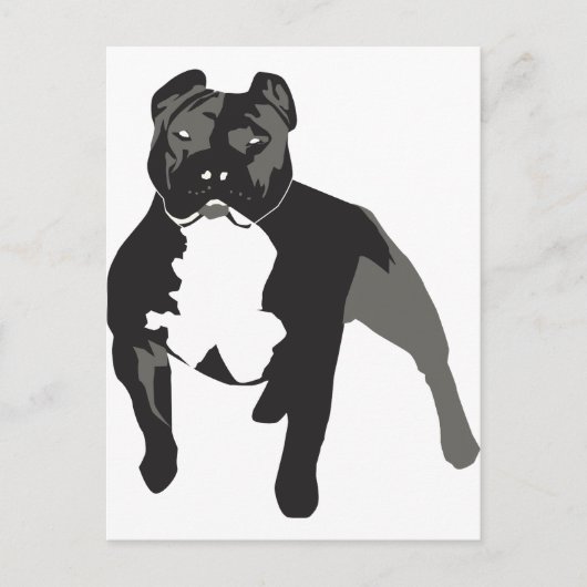 Pitbull Briefkaart (Voorkant)