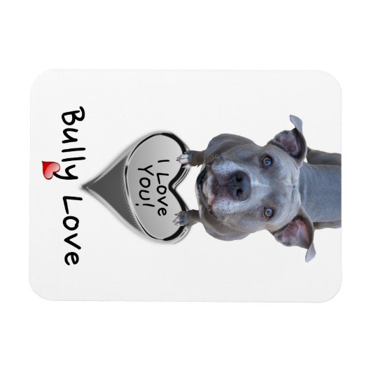 Pitbull Bully Love Magnet Magneet (Horizontaal)