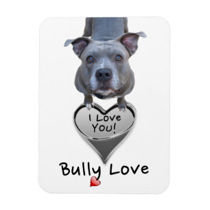 Pitbull Bully Love Magnet Magneet