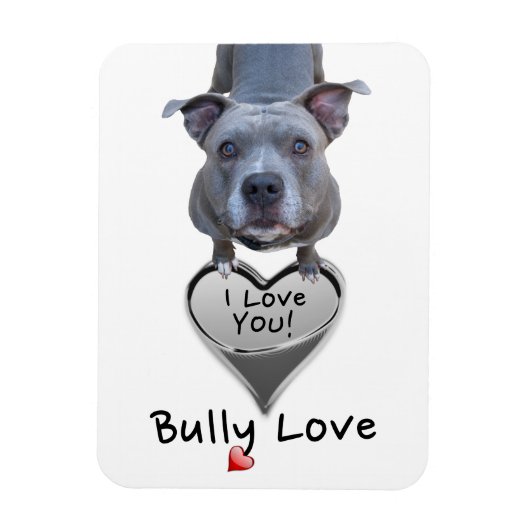 Pitbull Bully Love Magnet Magneet (Verticaal)