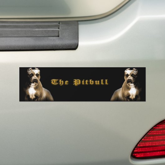 PITbull Bumpersticker (Op auto)